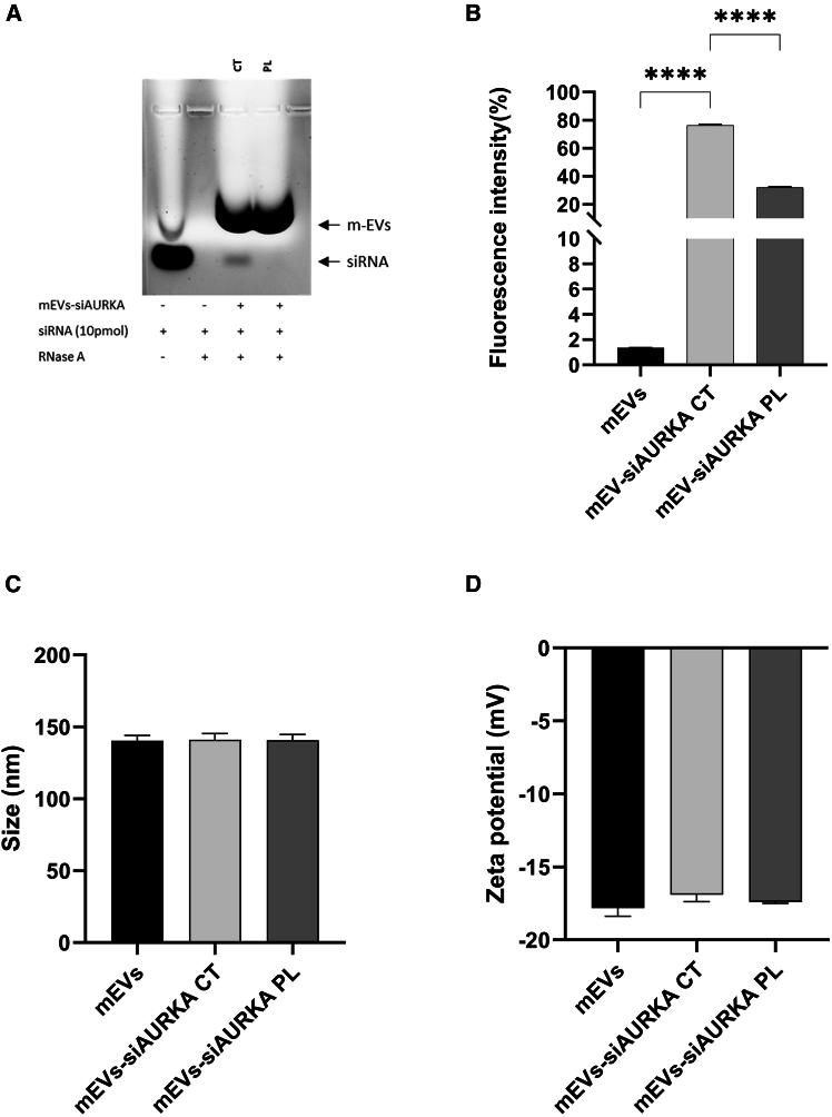 https://cdn.ncbi.nlm.nih.gov/pmc/blobs/3aea/12396431/4b92514ed009/gr4.jpg