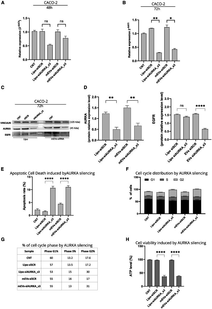 https://cdn.ncbi.nlm.nih.gov/pmc/blobs/3aea/12396431/83ac6dc98c31/gr6.jpg