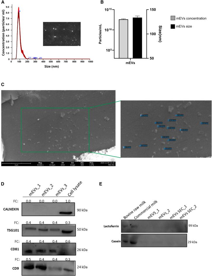 https://cdn.ncbi.nlm.nih.gov/pmc/blobs/3aea/12396431/adb3f53a398e/gr2.jpg