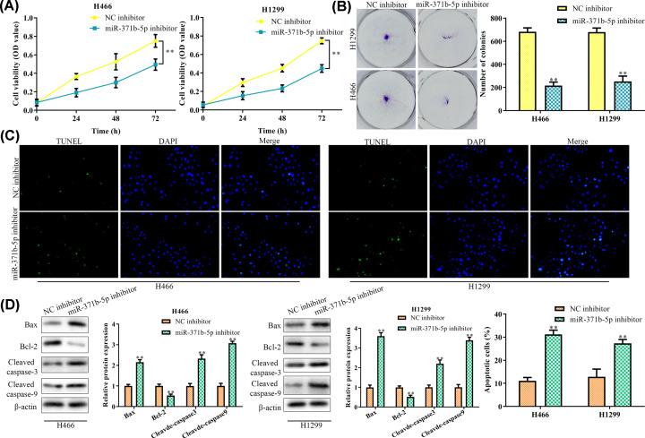 https://cdn.ncbi.nlm.nih.gov/pmc/blobs/3aeb/7672804/36899759feb9/bsr-40-bsr20200163-g2.jpg