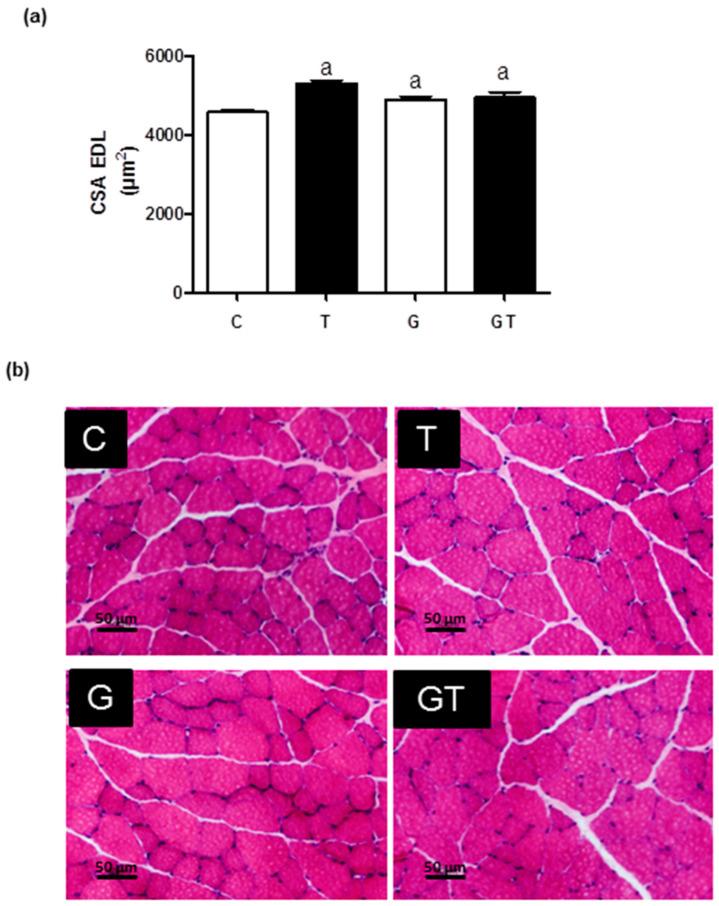 https://cdn.ncbi.nlm.nih.gov/pmc/blobs/3aec/10674901/04997889d0b1/nutrients-15-04711-g006.jpg