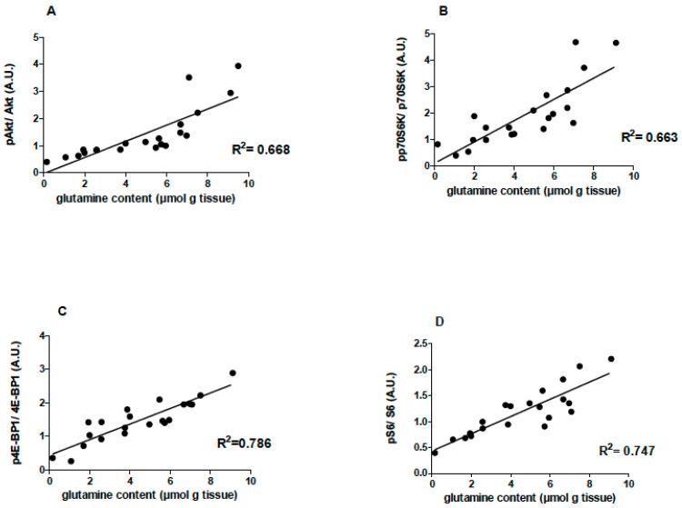 https://cdn.ncbi.nlm.nih.gov/pmc/blobs/3aec/10674901/aea04f502976/nutrients-15-04711-g005.jpg