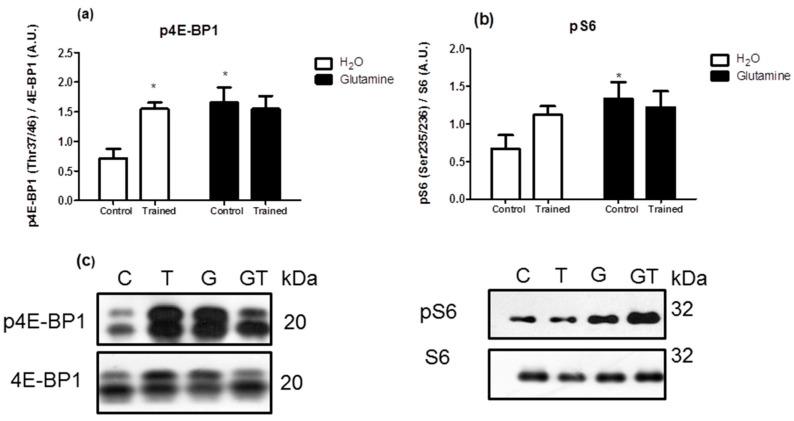 https://cdn.ncbi.nlm.nih.gov/pmc/blobs/3aec/10674901/d169aa210fd0/nutrients-15-04711-g004.jpg
