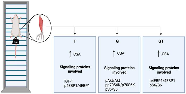 https://cdn.ncbi.nlm.nih.gov/pmc/blobs/3aec/10674901/f05ca8ad2cb3/nutrients-15-04711-g008.jpg