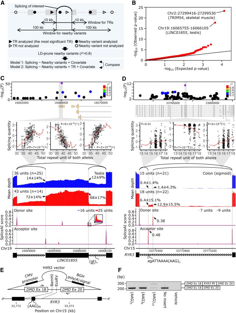https://cdn.ncbi.nlm.nih.gov/pmc/blobs/3aef/10078293/836a4cf1d298/435f02.jpg