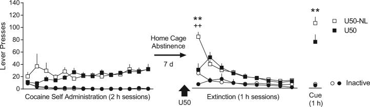 https://cdn.ncbi.nlm.nih.gov/pmc/blobs/3aef/5983548/03771b4c2b4f/41386_2017_6_Fig3_HTML.jpg