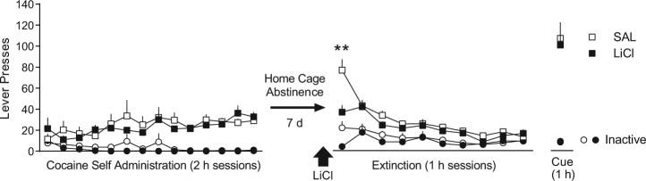 https://cdn.ncbi.nlm.nih.gov/pmc/blobs/3aef/5983548/29eb6b7fb25c/41386_2017_6_Fig4_HTML.jpg