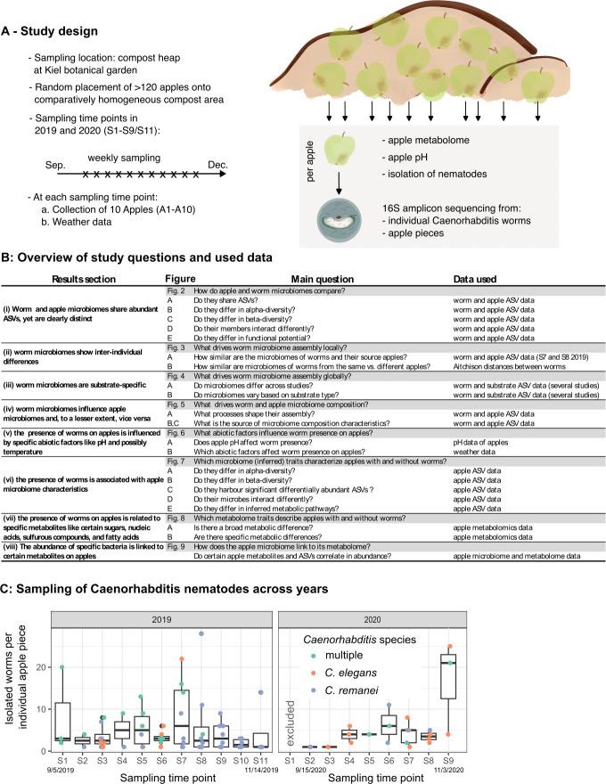 https://cdn.ncbi.nlm.nih.gov/pmc/blobs/3af0/11834410/143969471dca/msystems.01533-24.f001.jpg