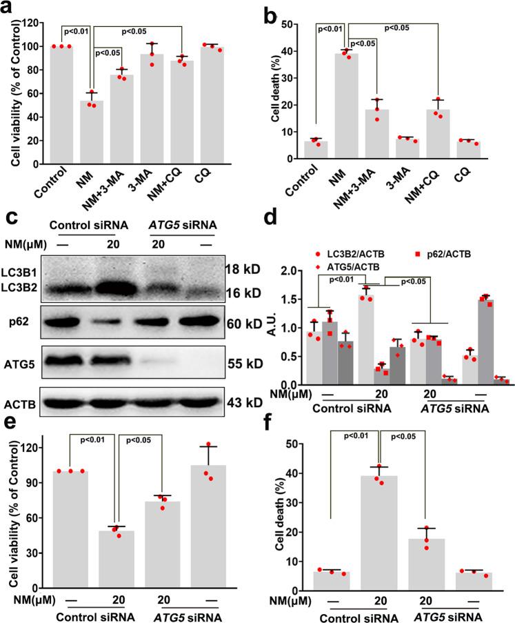 https://cdn.ncbi.nlm.nih.gov/pmc/blobs/3af1/7829253/aec15f954d39/41392_2020_389_Fig3_HTML.jpg