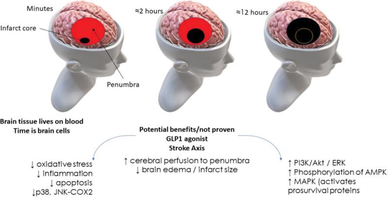 https://cdn.ncbi.nlm.nih.gov/pmc/blobs/3af2/11326472/f5d093927869/xce-13-e00308-g001.jpg