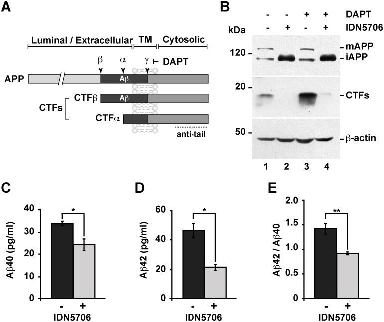 https://cdn.ncbi.nlm.nih.gov/pmc/blobs/3af5/4550396/70175f675326/pone.0136313.g006.jpg