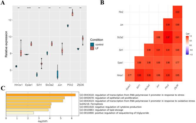 https://cdn.ncbi.nlm.nih.gov/pmc/blobs/3af5/9341447/c5daa9ddc2c0/peerj-10-13757-g003.jpg