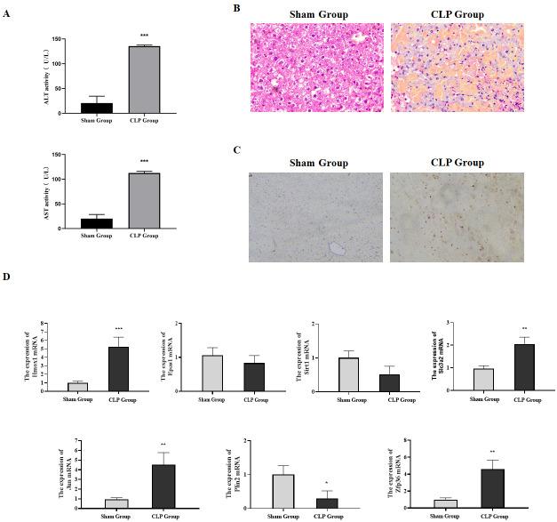 https://cdn.ncbi.nlm.nih.gov/pmc/blobs/3af5/9341447/d4a65d337192/peerj-10-13757-g006.jpg