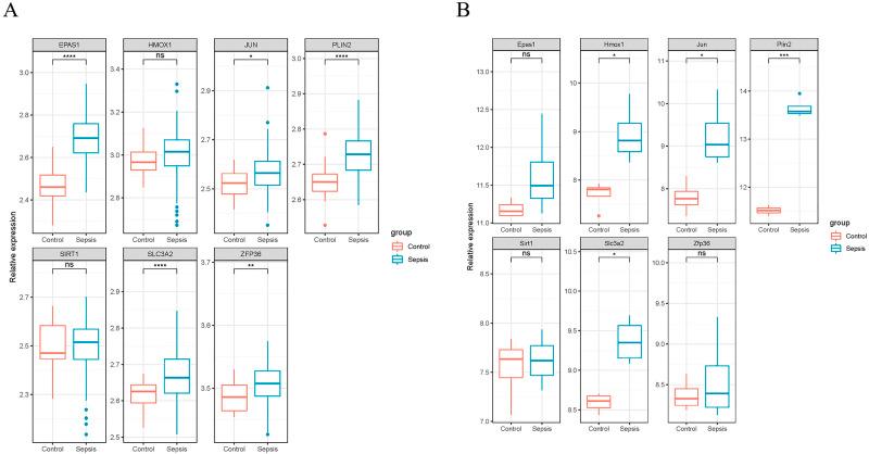 https://cdn.ncbi.nlm.nih.gov/pmc/blobs/3af5/9341447/dd665f4098d5/peerj-10-13757-g004.jpg