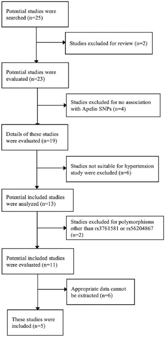 https://cdn.ncbi.nlm.nih.gov/pmc/blobs/3af6/6376513/7f4fb0cecbb7/10.1177_1470320319827204-fig1.jpg