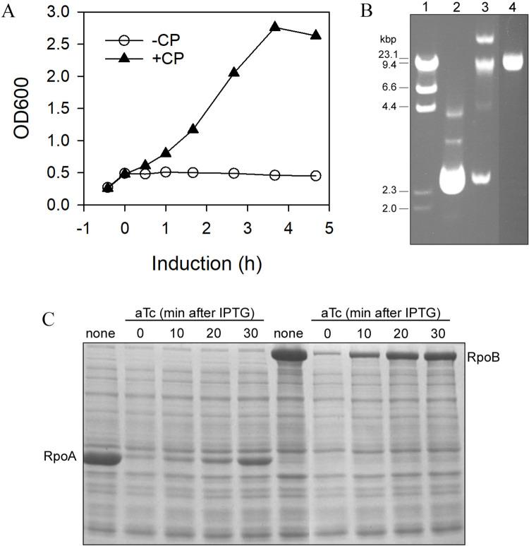 https://cdn.ncbi.nlm.nih.gov/pmc/blobs/3af6/9053816/30cb5f2e2a9e/pone.0258794.g003.jpg