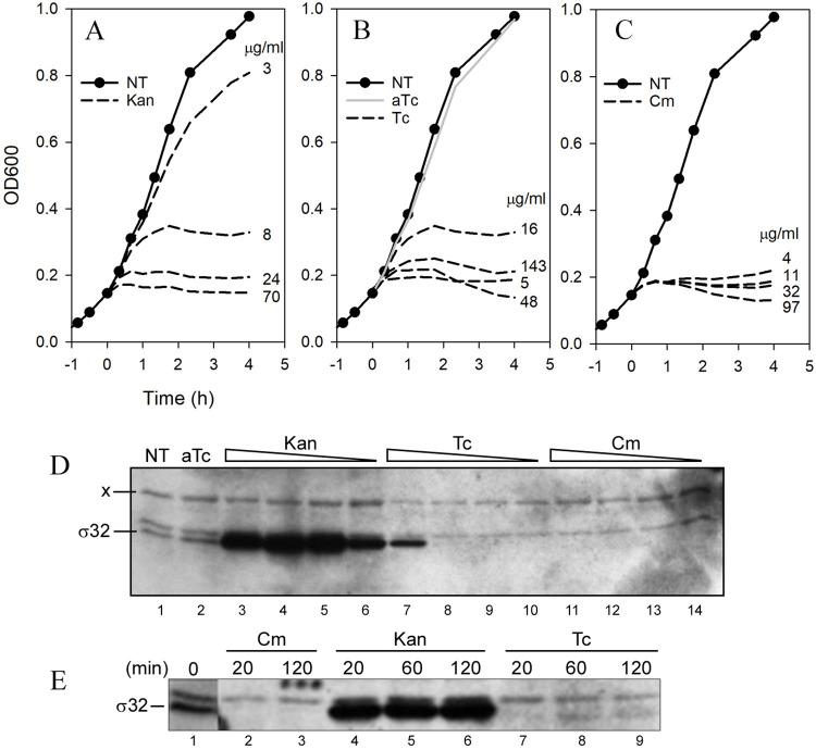 https://cdn.ncbi.nlm.nih.gov/pmc/blobs/3af6/9053816/d043b20829d7/pone.0258794.g001.jpg