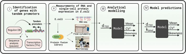 https://cdn.ncbi.nlm.nih.gov/pmc/blobs/3af7/8830795/0593a56f65a1/pcbi.1009824.g002.jpg