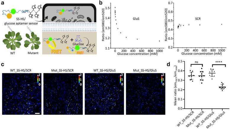 https://cdn.ncbi.nlm.nih.gov/pmc/blobs/3afa/12268990/937e758af1e7/d4cs00500g-f27.jpg