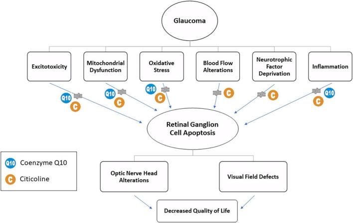 https://cdn.ncbi.nlm.nih.gov/pmc/blobs/3afa/9797721/7f31241a35bc/fmed-09-1020993-g001.jpg