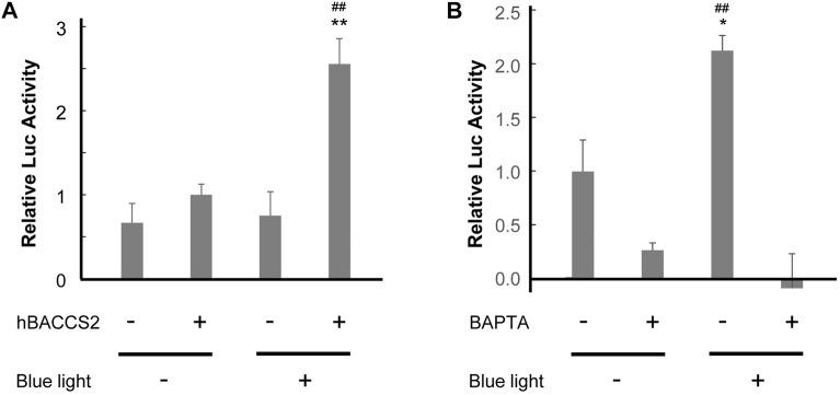 https://cdn.ncbi.nlm.nih.gov/pmc/blobs/3afd/9871596/f2be4820bf28/fphar-13-1076116-g003.jpg