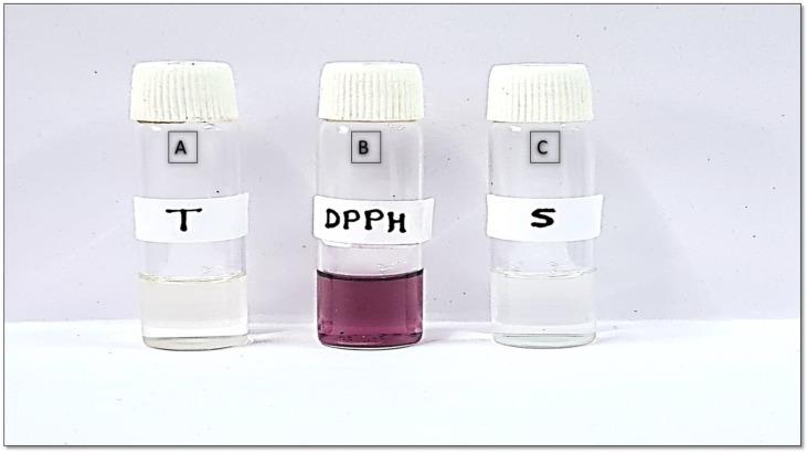 https://cdn.ncbi.nlm.nih.gov/pmc/blobs/3aff/10531150/eafcecee62c8/gels-09-00752-g005.jpg