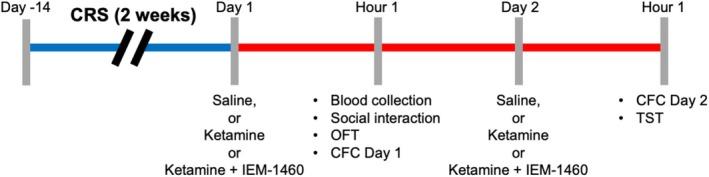 https://cdn.ncbi.nlm.nih.gov/pmc/blobs/3b01/12379868/f1117b73cc29/FSB2-39-e70891-g001.jpg