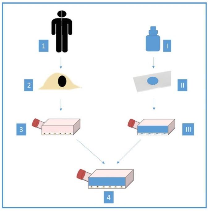 https://cdn.ncbi.nlm.nih.gov/pmc/blobs/3b01/7013582/07e929afd7b6/materials-13-00452-g001.jpg