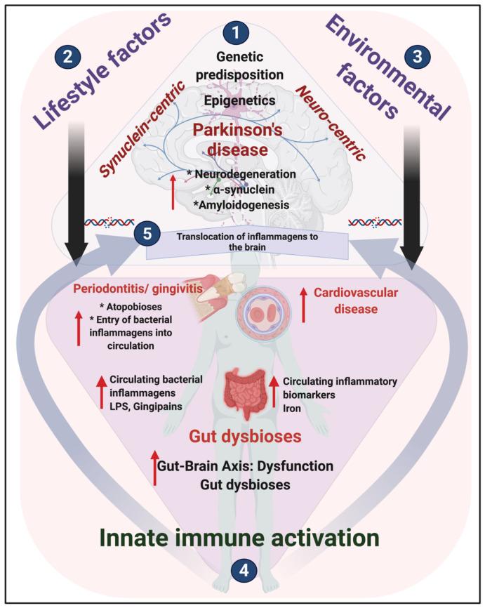 https://cdn.ncbi.nlm.nih.gov/pmc/blobs/3b02/7823713/200789584ea6/biomolecules-11-00030-g001.jpg
