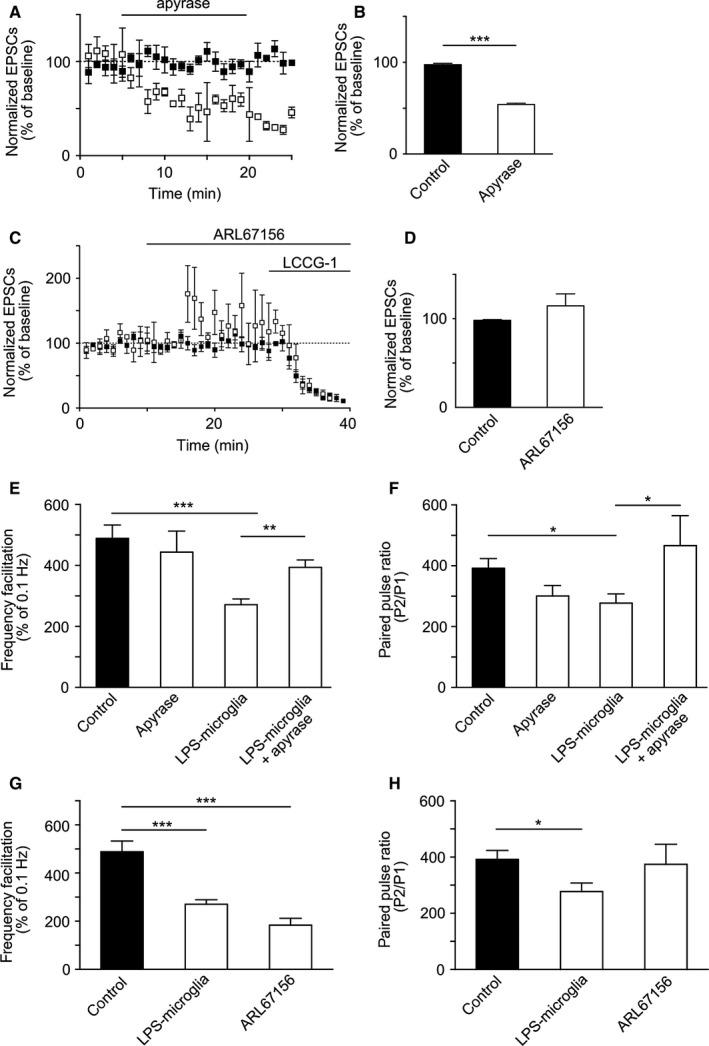 https://cdn.ncbi.nlm.nih.gov/pmc/blobs/3b03/5069607/ac34870c2e13/EJN-43-1366-g002.jpg