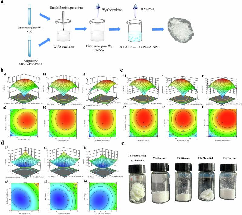 https://cdn.ncbi.nlm.nih.gov/pmc/blobs/3b09/12037906/3d236149d89e/42003_2025_8095_Fig1_HTML.jpg
