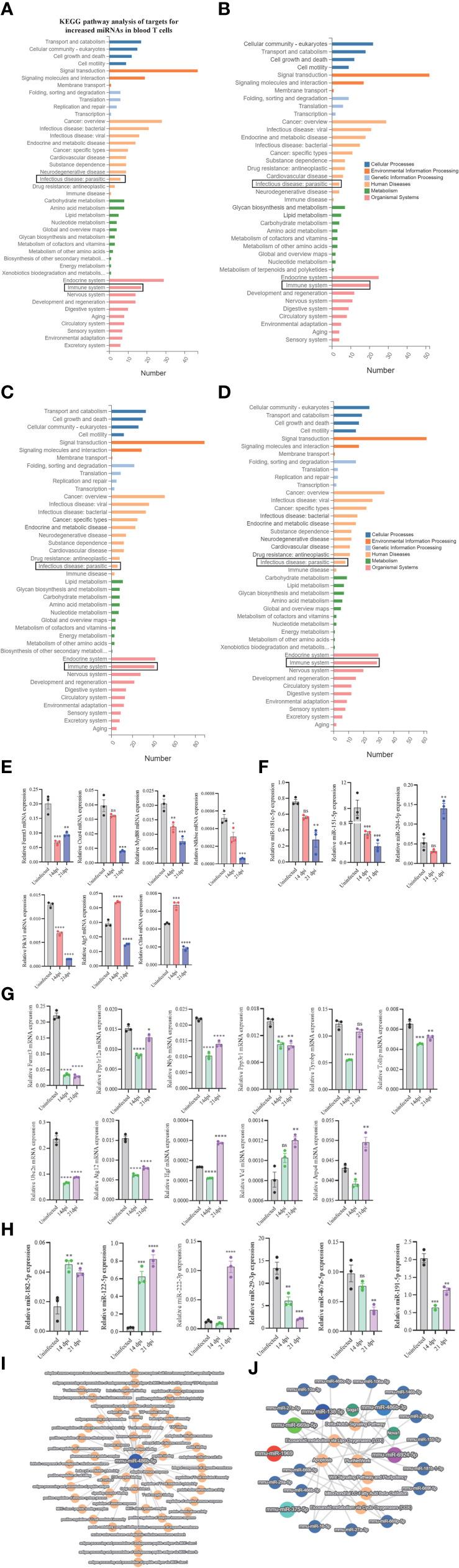 https://cdn.ncbi.nlm.nih.gov/pmc/blobs/3b0a/9478579/27b1c3c18105/fimmu-13-911139-g005.jpg