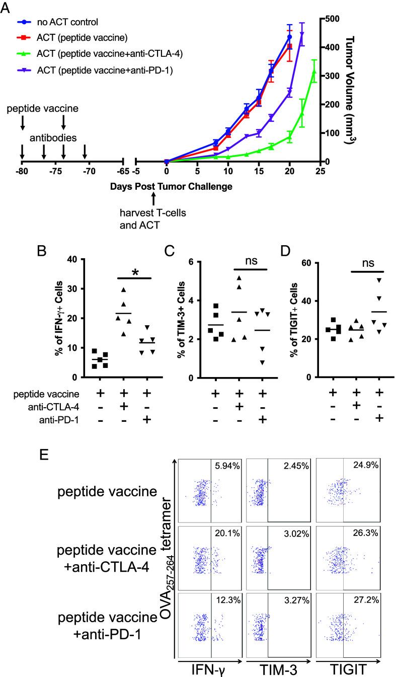 https://cdn.ncbi.nlm.nih.gov/pmc/blobs/3b0b/11745370/c8b6c216a04a/pnas.2418985122fig03.jpg