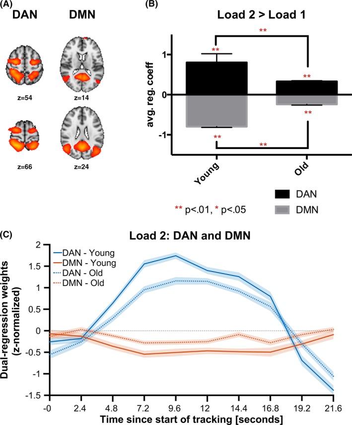 https://cdn.ncbi.nlm.nih.gov/pmc/blobs/3b0c/5102637/5fce9867a9d9/BRB3-6-e00533-g003.jpg