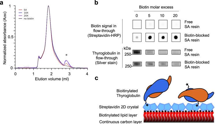 https://cdn.ncbi.nlm.nih.gov/pmc/blobs/3b0d/9061844/a947c2310468/41467_2022_30082_Fig1_HTML.jpg
