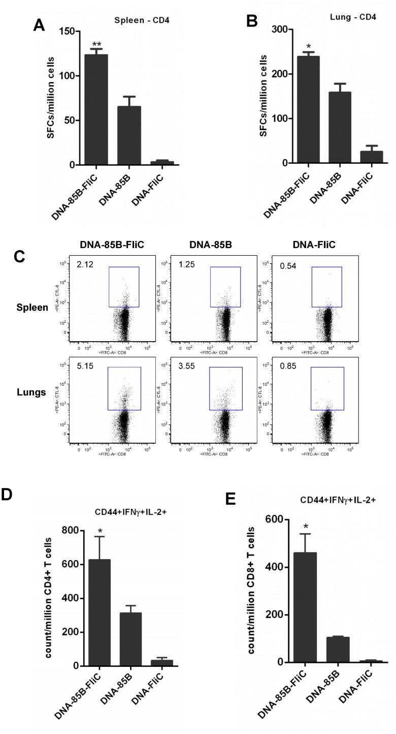https://cdn.ncbi.nlm.nih.gov/pmc/blobs/3b12/4742079/f6eff77c46f3/pone.0148701.g002.jpg