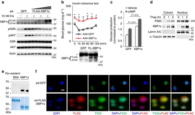 https://cdn.ncbi.nlm.nih.gov/pmc/blobs/3b12/5526866/c91e8d336ac4/41467_2017_163_Fig4_HTML.jpg