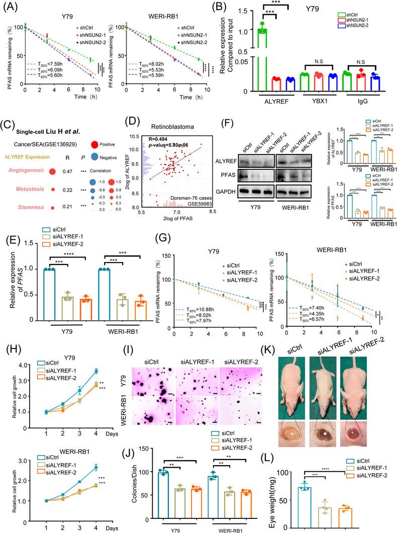 https://cdn.ncbi.nlm.nih.gov/pmc/blobs/3b13/10212275/916f7318ff44/CTM2-13-e1273-g006.jpg