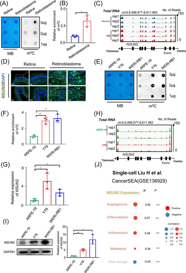 https://cdn.ncbi.nlm.nih.gov/pmc/blobs/3b13/10212275/eed6ce4df2b8/CTM2-13-e1273-g003.jpg