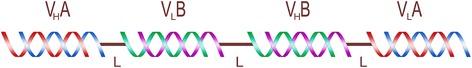 https://cdn.ncbi.nlm.nih.gov/pmc/blobs/3b13/4522136/ab8df5a9828b/13045_2015_188_Fig1_HTML.jpg