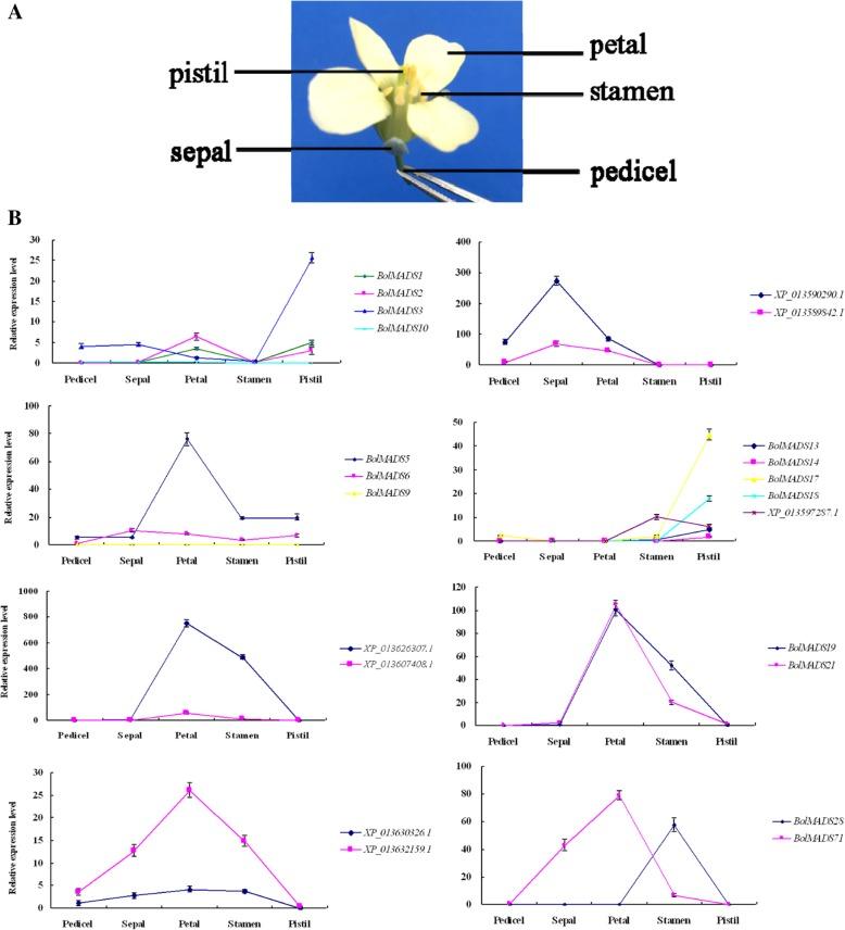 https://cdn.ncbi.nlm.nih.gov/pmc/blobs/3b14/6425688/509329ad513b/12870_2019_1717_Fig6_HTML.jpg