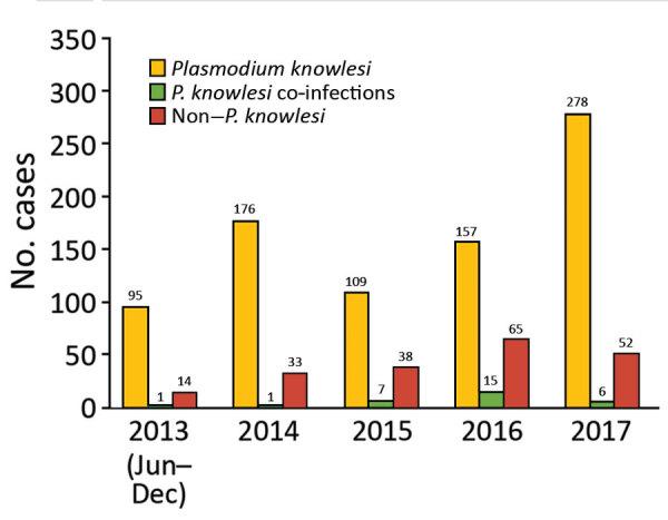 https://cdn.ncbi.nlm.nih.gov/pmc/blobs/3b14/7392409/29000961b211/20-0343-F1.jpg