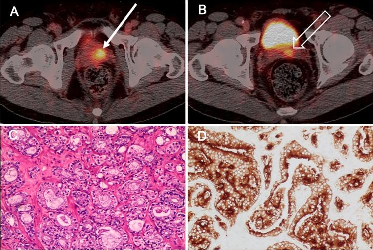 https://cdn.ncbi.nlm.nih.gov/pmc/blobs/3b14/9132805/13d680f5cc77/12149_2022_1732_Fig5_HTML.jpg