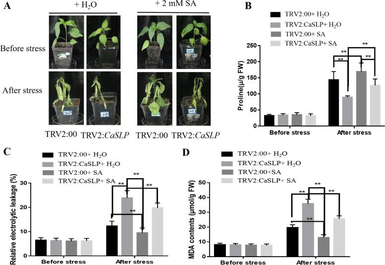 https://cdn.ncbi.nlm.nih.gov/pmc/blobs/3b15/10514951/671999085a14/43897_2023_54_Fig5_HTML.jpg