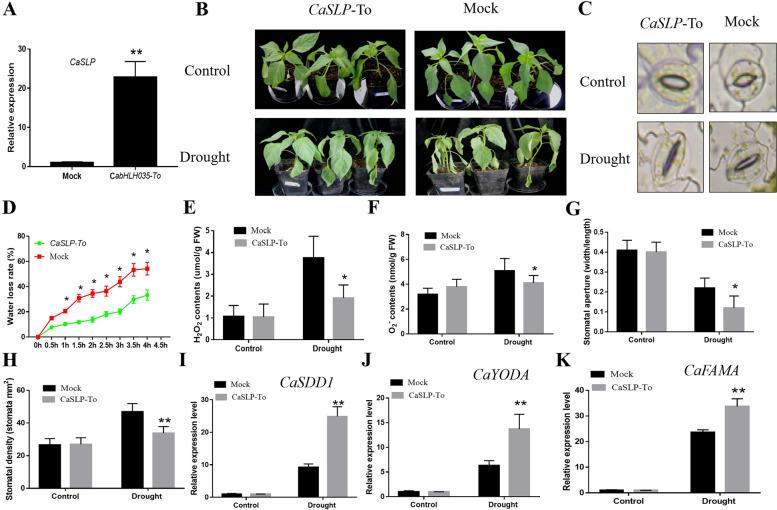 https://cdn.ncbi.nlm.nih.gov/pmc/blobs/3b15/10514951/8516f466e6b2/43897_2023_54_Fig3_HTML.jpg