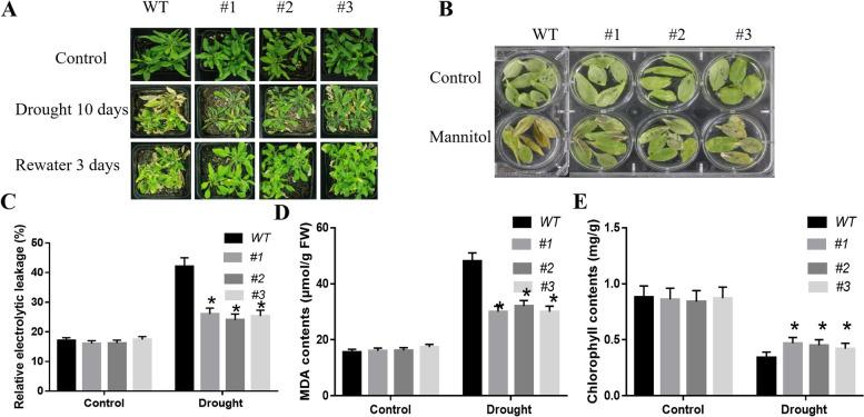 https://cdn.ncbi.nlm.nih.gov/pmc/blobs/3b15/10514951/8ce124d48ced/43897_2023_54_Fig4_HTML.jpg