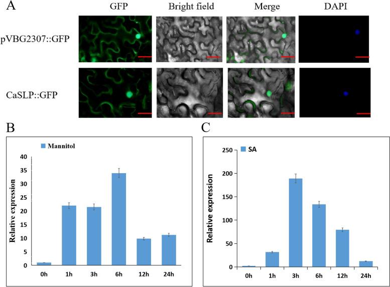 https://cdn.ncbi.nlm.nih.gov/pmc/blobs/3b15/10514951/b0d5b3a6be6b/43897_2023_54_Fig1_HTML.jpg