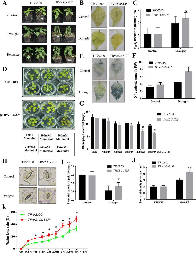 https://cdn.ncbi.nlm.nih.gov/pmc/blobs/3b15/10514951/d171980ce8e4/43897_2023_54_Fig2_HTML.jpg
