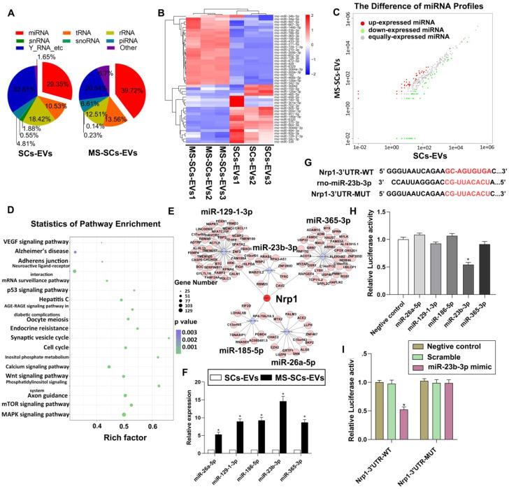 https://cdn.ncbi.nlm.nih.gov/pmc/blobs/3b18/7415818/1eb1ee1ae82a/thnov10p8974g005.jpg