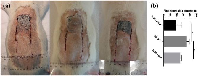 https://cdn.ncbi.nlm.nih.gov/pmc/blobs/3b18/8021947/69d08b38a603/fsurg-08-639661-g0001.jpg